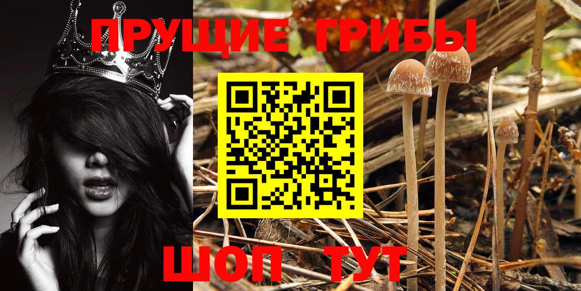 Псилоцибиновые грибы Cubensis  Вход с VPN  Орёл 