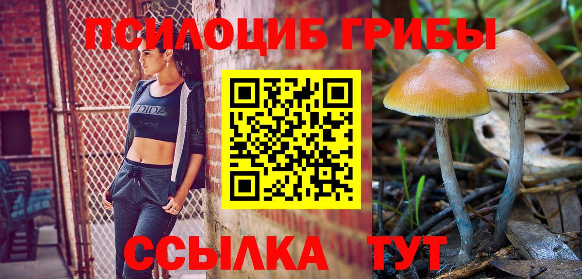 Псилоцибиновые грибы Cubensis Орёл