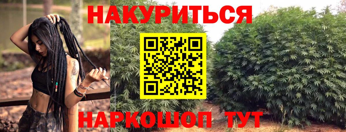 Конопля план Орёл